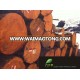 NZ Radiata Pine logs - Container delivery