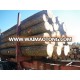 Pine, Teak, Spruce, Eucalyptus, Ceedar, Beech, Fir, Cherry, Hardwood, Rosewood, Hemlock, Oak Logs