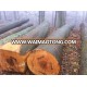 European Beech Round Logs