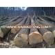 European Red Oak Round Logs